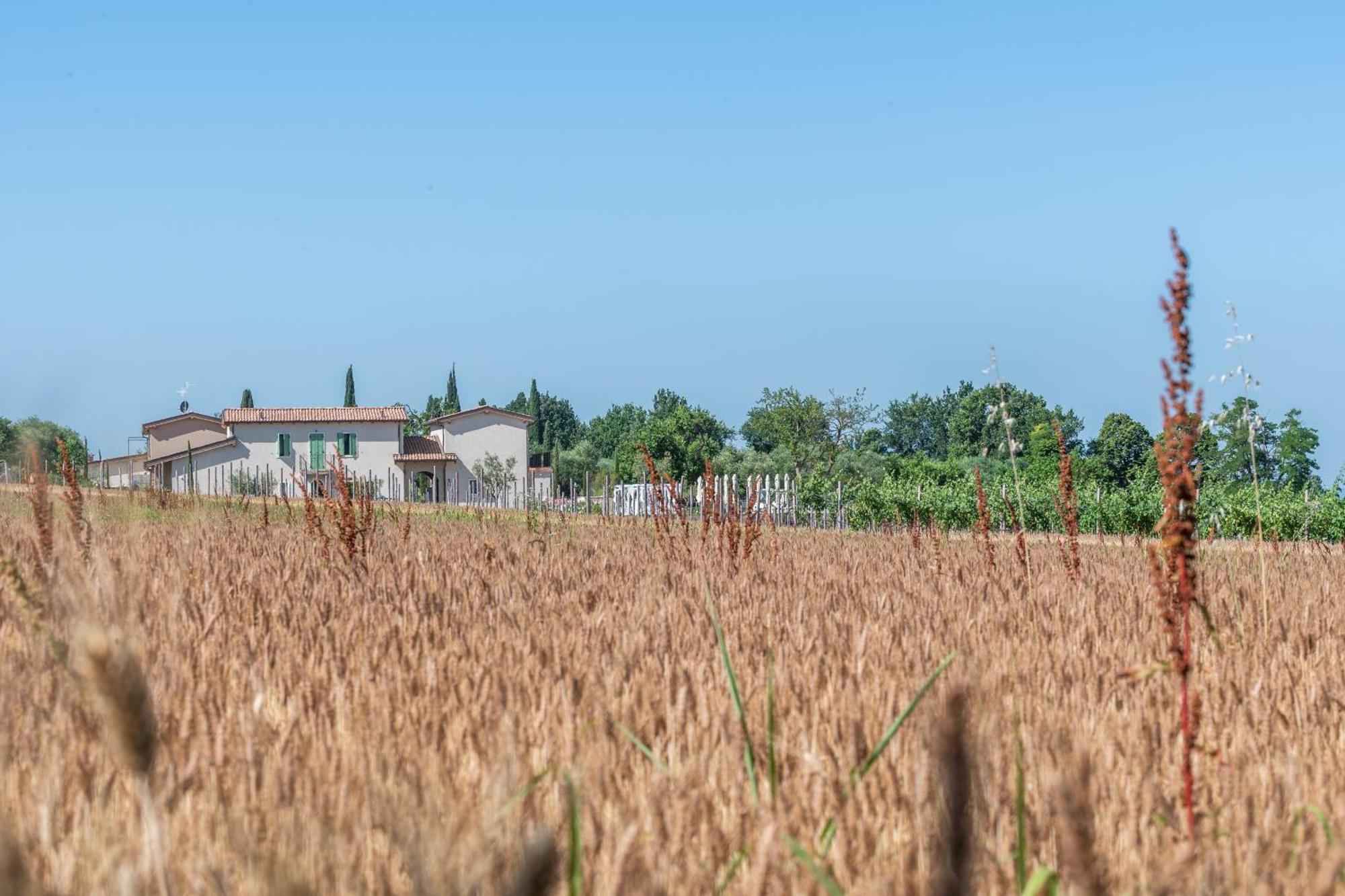 Natiia Relais - Adults Only Hotel Lazise Exterior foto